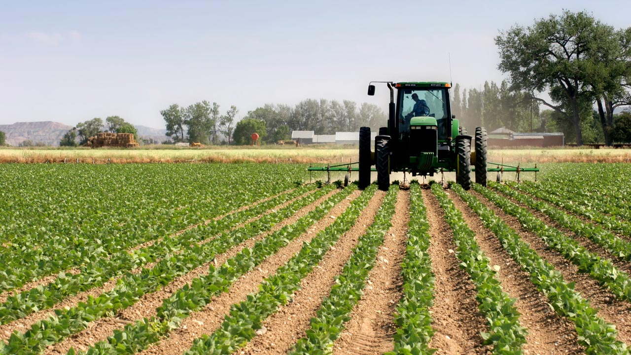 Our Commodities