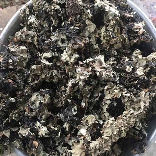 TOSFAT BLACK STONE FLOWER